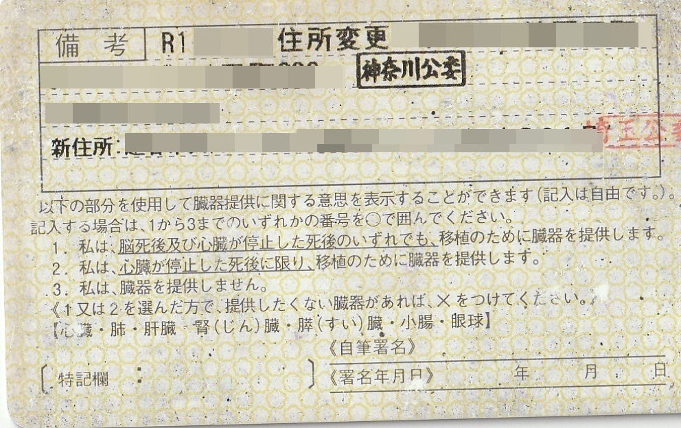 免許 裏.jpg